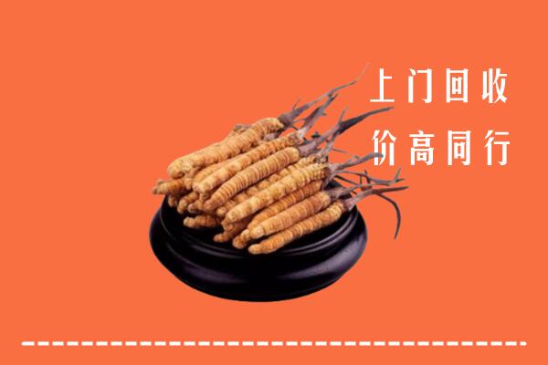 高价求购：宁德柘荣县回收散虫草