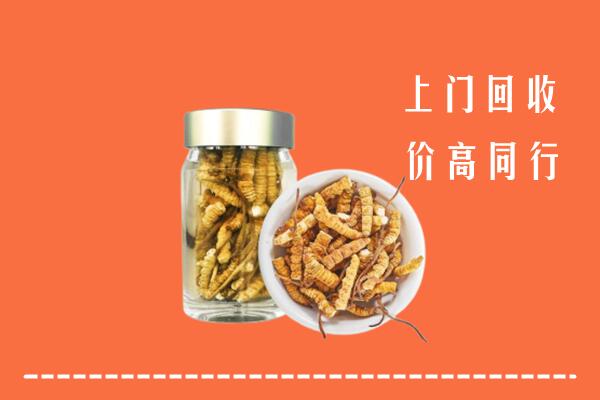 宁德柘荣县回收冬虫夏草