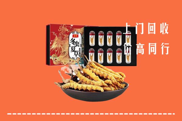 宁德柘荣县回收虫草